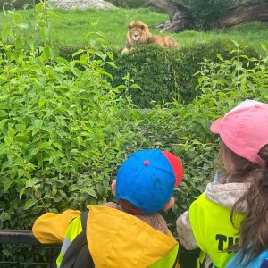 Zoo