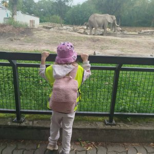 Zoo