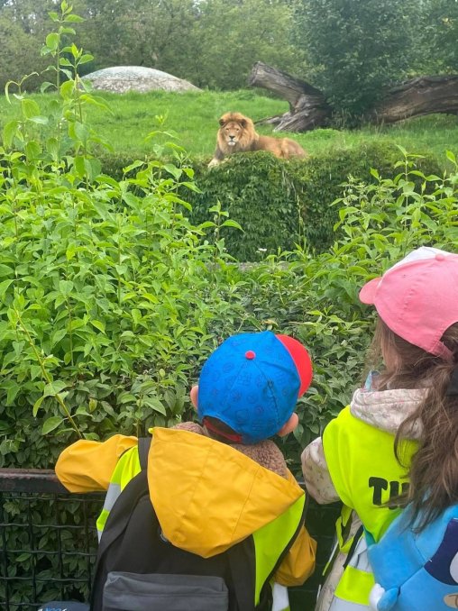 Zoo