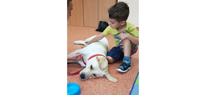 Dogoterapia