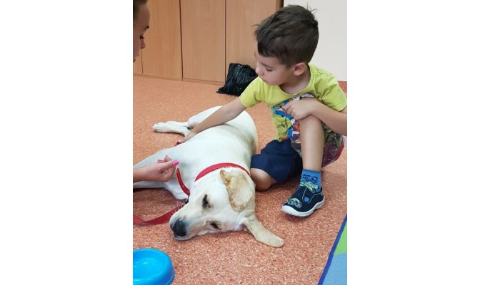 Dogoterapia