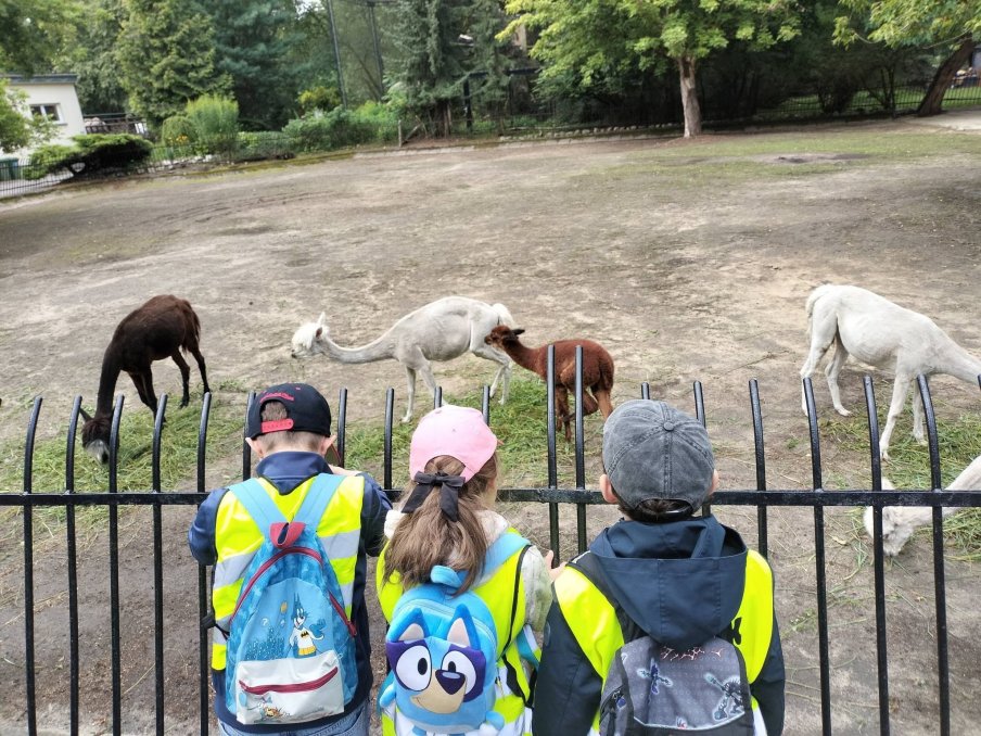 Zoo